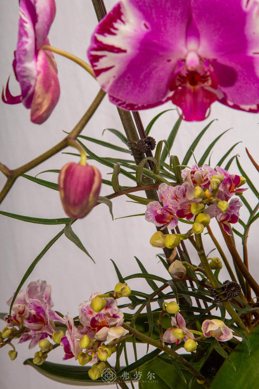 路遥马更健 商品图3