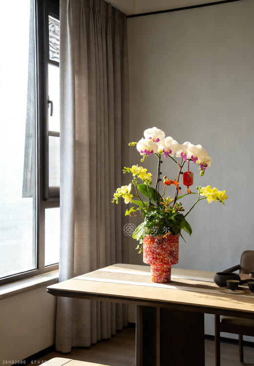 老马识新途 商品图0