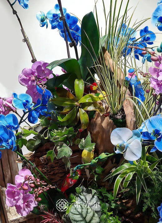 旗开得胜 商品图3