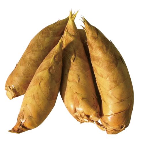 精选黄山冬笋 约350g-400g 单份 买放心菜就上瑞和泰 商品图0