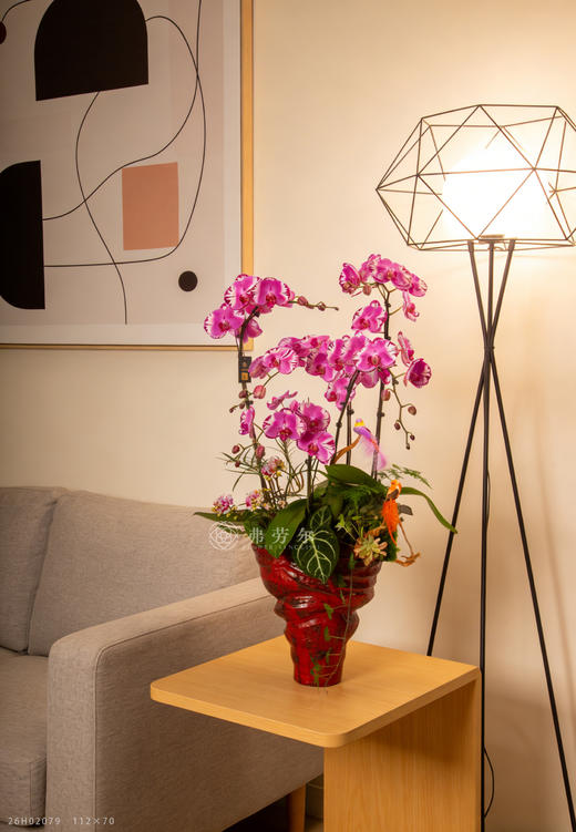 路遥马更健 商品图0