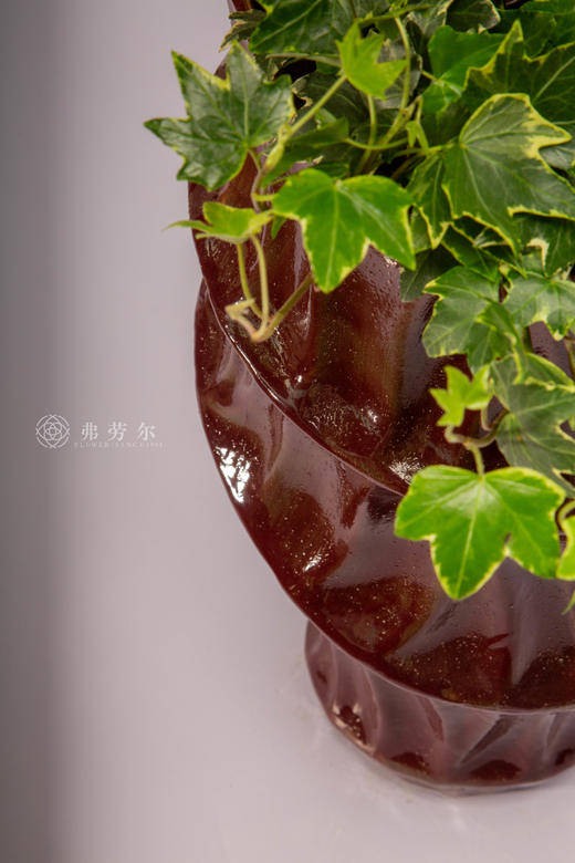 走马观花年 商品图3