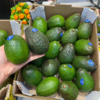 进口牛油果 商品缩略图1