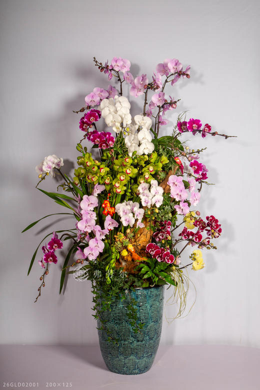 马年乐无疆 商品图0