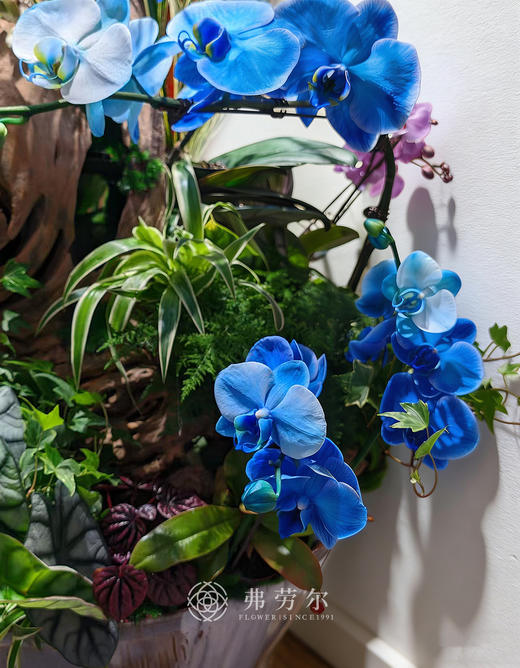 旗开得胜 商品图0