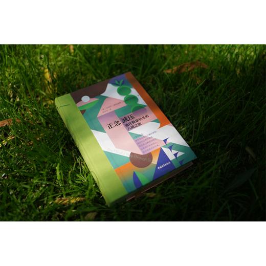 《正念减压》［英］沙玛什·阿利迪纳 中国青年出版社 商品图4