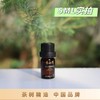 【茶树精油】适用眼部/口腔/头发/等身体护理~ 商品缩略图4