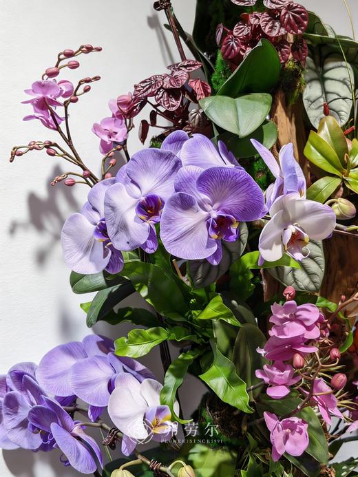 马踏青云 商品图1