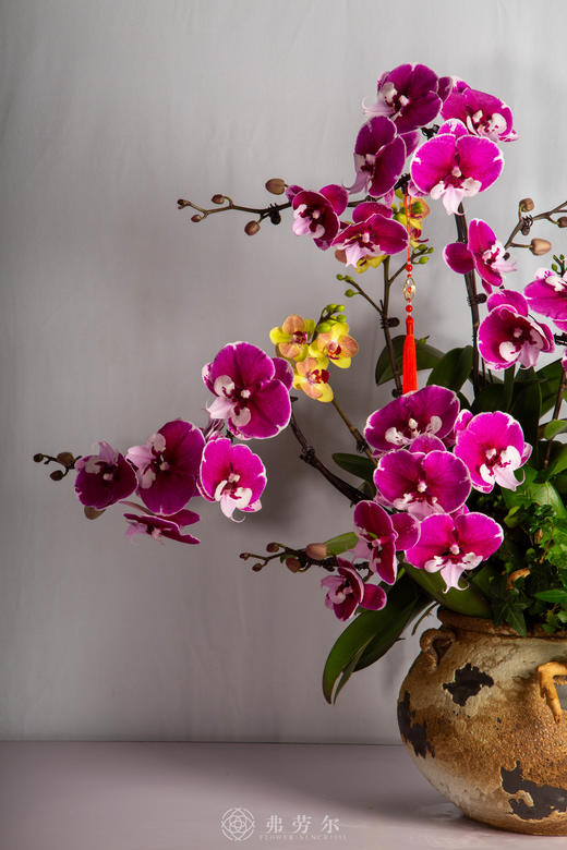 马鬃拂财气 商品图2