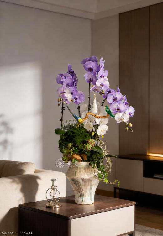 金马驮宝来 商品图1