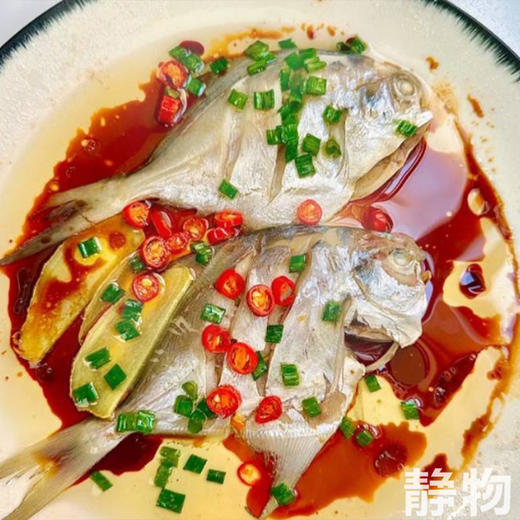 海捕野生东海银鲳鱼400g｜浙江台州 商品图6