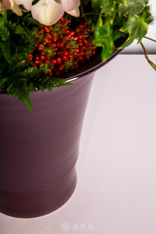 马力全开顺 商品图4