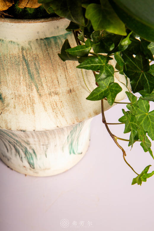 金马驮宝来 商品图3