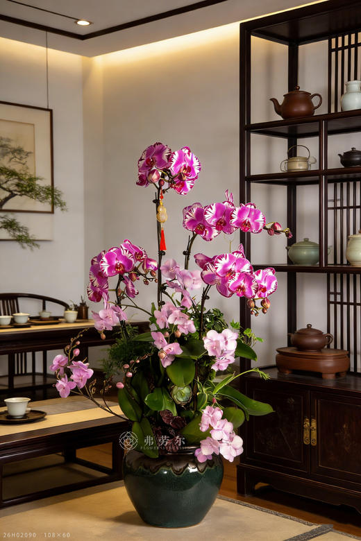 良马识伯乐 商品图0