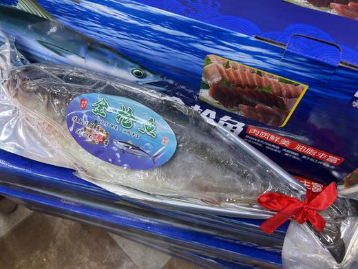 黄金鲅鱼一箱 商品图2
