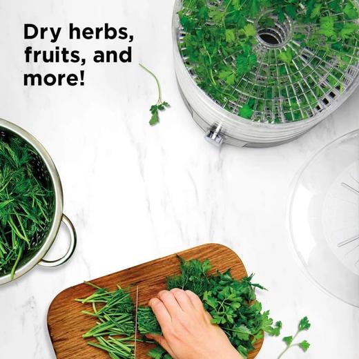 美国 350W家用五层多功能食品水果脱水烘干机 SMX-01 商品图2