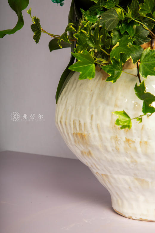 马跃高峰顶  商品图3