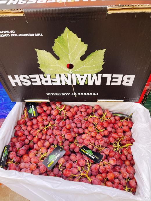 澳洲无籽红提礼盒 商品图0