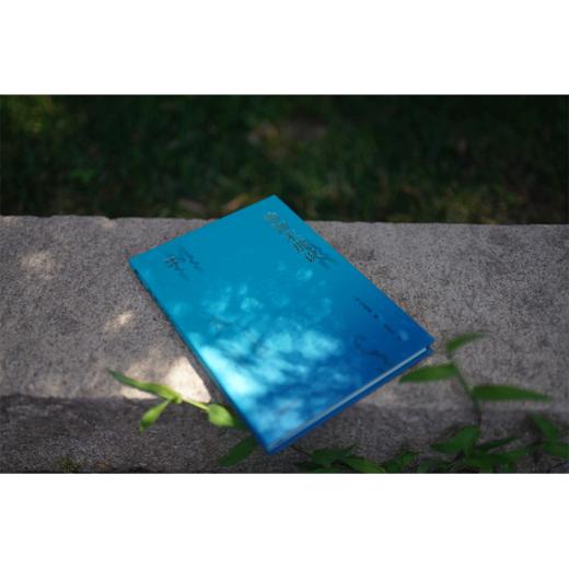 瑜伽末那识 艾扬格著 中国青年出版社 商品图4