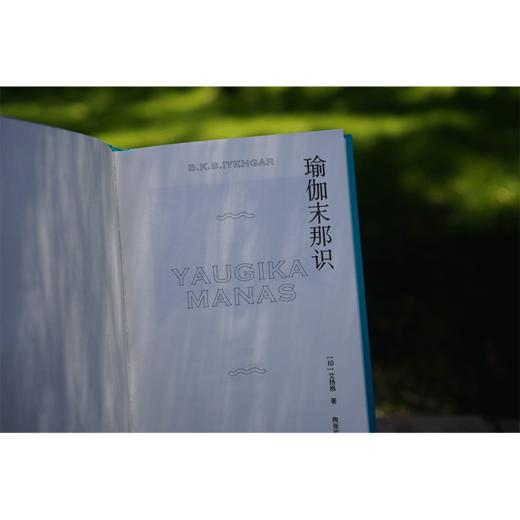 瑜伽末那识 艾扬格著 中国青年出版社 商品图8