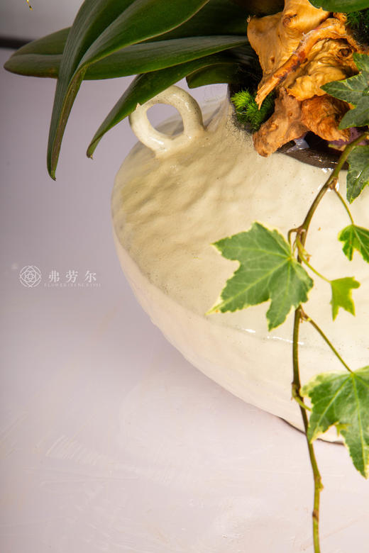 一马平川阔 商品图3