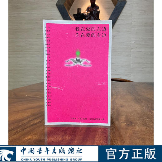 我在爱的左边 你在爱的右边 中国青年出版社 商品图0