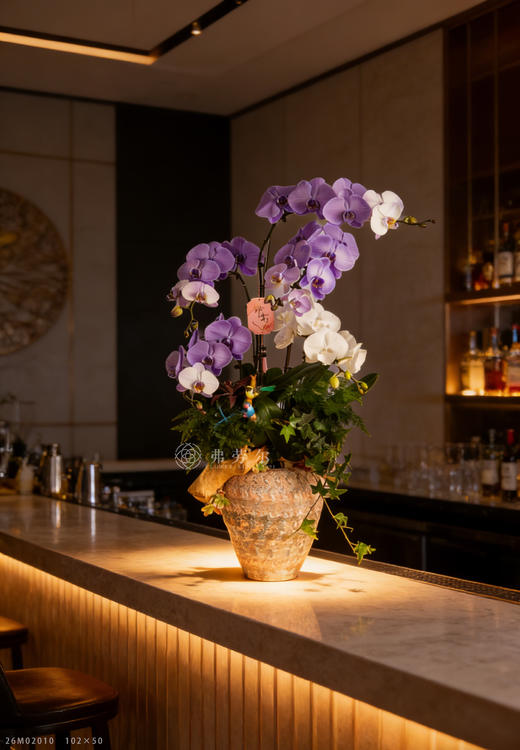 禄马伴星驰 商品图0