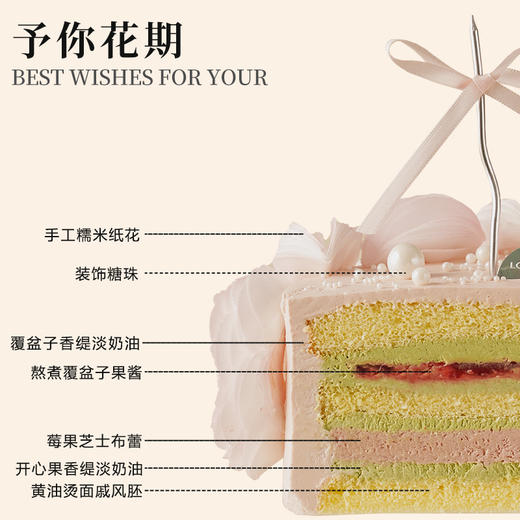 予你花期（所有绿植均不可食用！） 商品图2