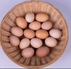 金伶俐土鸡蛋（100枚） 商品缩略图3