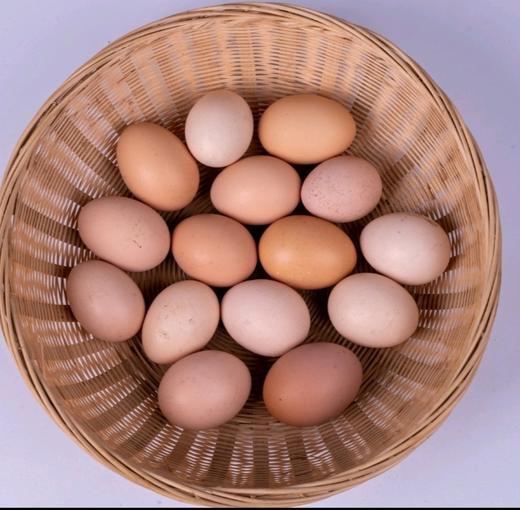 金伶俐土鸡蛋（100枚） 商品图3