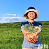 草原野生韭菜花酱160g｜内蒙古锡林郭勒盟 商品缩略图5