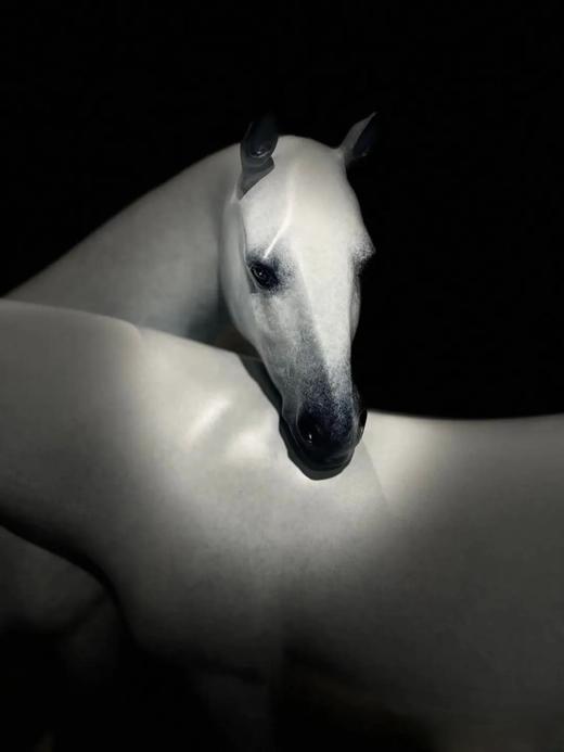 依/16版 商品图1