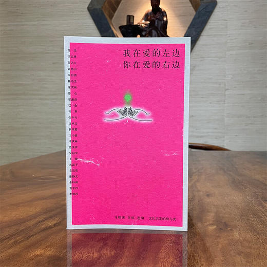 我在爱的左边 你在爱的右边 中国青年出版社 商品图1
