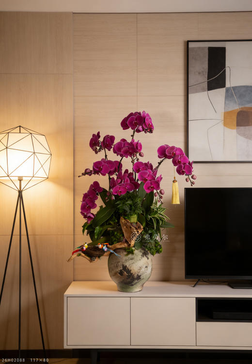 马跃锦官城 商品图1