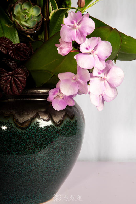 良马识伯乐 商品图3