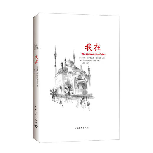 《我在》[印]室利·尼萨伽达塔·马哈拉吉 彭展译 中国青年出版社 商品图1