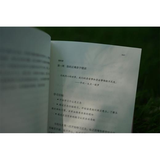 《正念减压》［英］沙玛什·阿利迪纳 中国青年出版社 商品图8