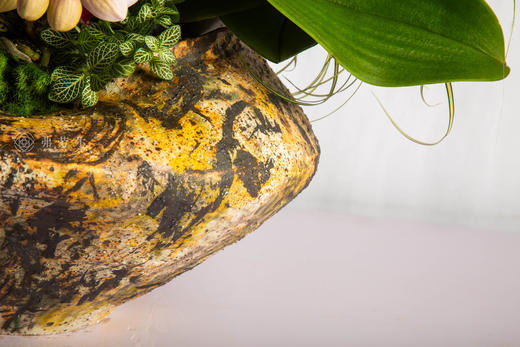 马跃金银滩 商品图4