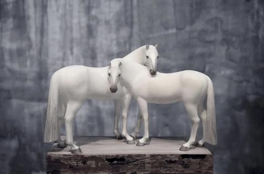 依/16版 商品图0