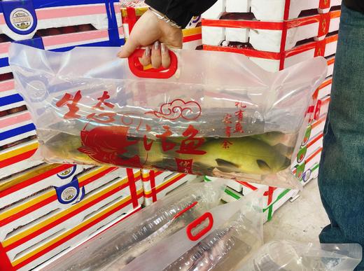 打氧丁桂活鱼（5斤左右） 商品图0