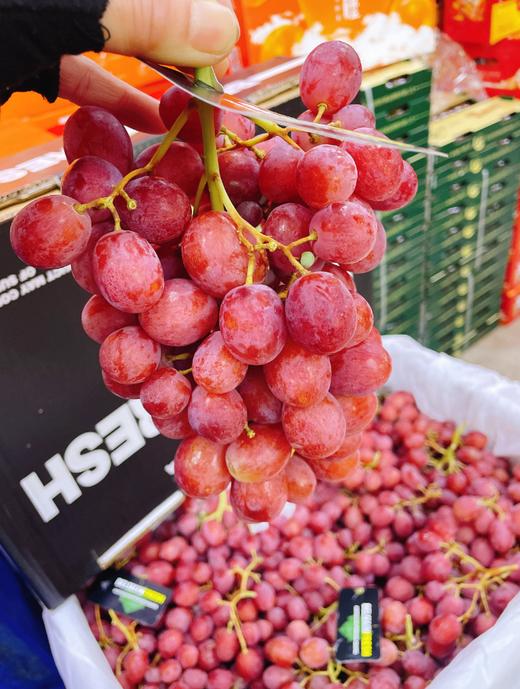 澳洲无籽红提礼盒 商品图4