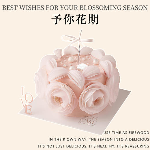 予你花期（所有绿植均不可食用！） 商品图1