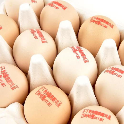 百岭多不饱和脂肪酸鸡蛋15枚 商品图2