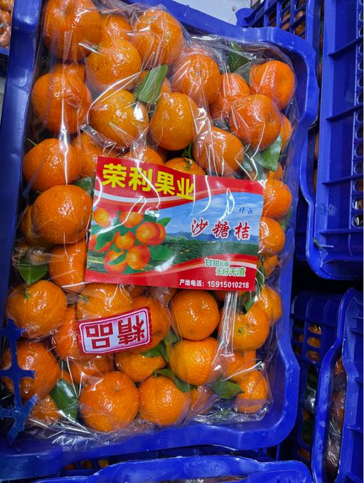 大筐沙糖桔一箱 商品图0