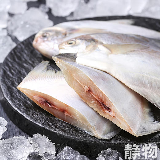 海捕野生东海银鲳鱼400g｜浙江台州 商品图4