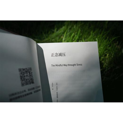 《正念减压》［英］沙玛什·阿利迪纳 中国青年出版社 商品图7