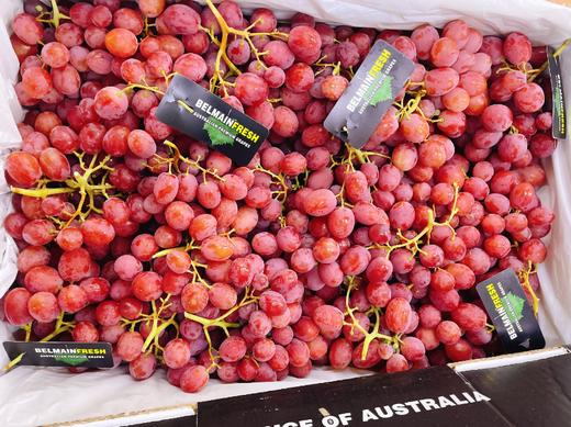 澳洲无籽红提礼盒 商品图5