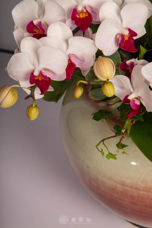 策马定山河  商品图2