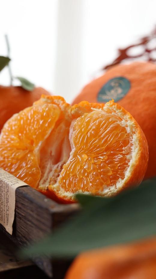 嵋春柑 大橘·甘平 商品图6