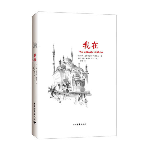 《我在》[印]室利·尼萨伽达塔·马哈拉吉 彭展译 中国青年出版社 商品图2